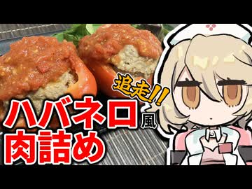 ハバネロの肉詰め(亜種)を追走しました【ナースロボ＿タイプＴ】