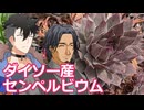 【多肉植物】低音コンビのセンペルビウムチャンネル＃ 9 ダイソーなどで買ったセンペルビウムが増えたので寄せ植えしてみた【ソフトウェアトーク劇場】