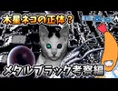 【設定考察】メタルブラック　考察編【ゲームバックストーリー昔話】