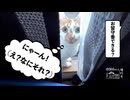 【増刊号】#132 猫さん初めてのお留守番！！