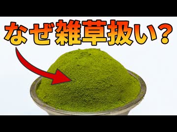 大豆より高たんぱくな健康野菜が日本で雑草扱いされている理由【ミジンコウキクサ】