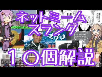今さら人に聞けないネットのネタ解説その48【結月ゆかり×春日部つむぎ】