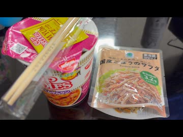 かわしまVlog  久々みなとみらい編ショート