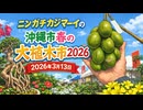 ニンガチカジマーイの沖縄市春の大植木市2026