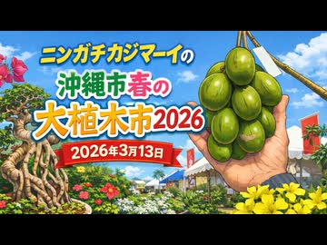 ニンガチカジマーイの沖縄市春の大植木市2026