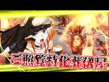 【ナイトレイン】戦技特化の拳ビルドでご照覧がしたかったオネちゃん【ARIA家実況】
