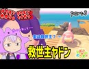 メタモンゆかり　part3【ぽこあポケモン】