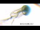 【東北きりたん】見えない泡 / 雲雀野スピカ