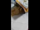 ペストプライスのポテトチップス【トップバリュ】の国産じゃがいも使用の厚切りカットポテトチップスSALT味は美味しいね！【植物油・じゃがいも・食塩・昆布・デキストリン・砂糖入り】