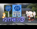 【ついなちゃん車載】都道府県道217号巡礼の旅に付き合わされるついなちゃん 第三夜