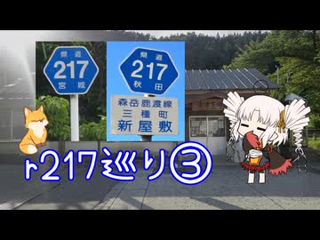 【ついなちゃん車載】都道府県道217号巡礼の旅に付き合わされるついなちゃん 第三夜