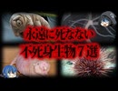 【ゆっくり解説】実在する不死の生物７選