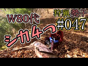 狩猟勢子動画＃047　W８０代　シカ４つ