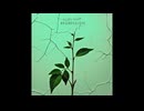 【メロディックテクノ】Regression / ALON AMIT