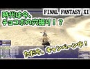 【FF11】時代は今、チョコボの穴掘り！？キャンペーンが来ているのでやってみます！