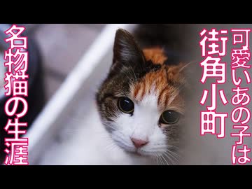 街角小町、街と人に愛されたその生涯