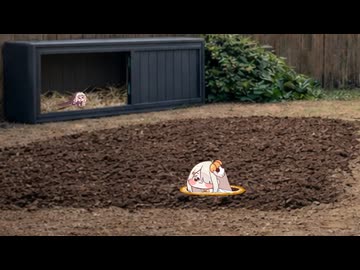 ｽﾋﾟｷと田舎のお庭#8 庭の開墾