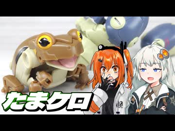 【カプセルトイ】あかりちゃんwith生命の神秘【たまケロ】