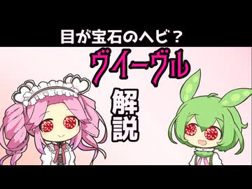 【VOICEVOX怪異解説】ヴイーヴル【四国めたん】