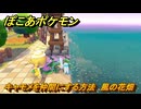 ぽこあポケモン　キャモメを仲間にする方法　風の花畑　＃２１７　【ぽこポケ】