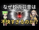 【ずんだもん解説】蚊の羽音ってなんであんなに不快なの？侵入ルートと対策も解説