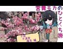 【ニコニコ国内旅行】 #宮舞モカのひとくち旅 【大阪天満宮梅見編】