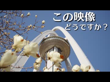 新しくカメラ買ったから雑談しつつ試写する【COEIROINK】