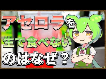 ずんだもんのたべもののヒミツ　‐アセロラのヒミツ‐