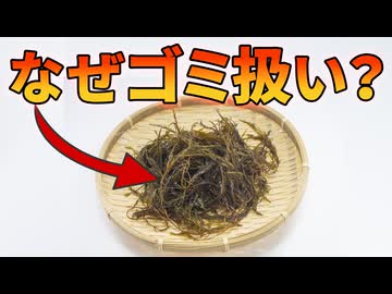 栄養豊富な海のスーパーフードがゴミ扱いされている理由【アカモク】