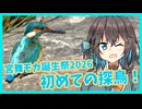 【宮舞モカ生誕祭2026】初めての探鳥【VOICEPEAK】