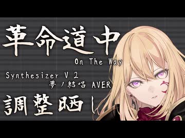 革命道中 - On The Way / 夢ノ結唱 AVER (cover)