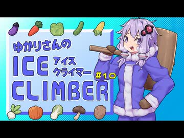ゆかりさんのアイスクライマー #10
