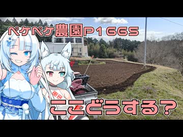 2026年3月15日　農作業日誌P1665　何も植えない畑を作り出していく