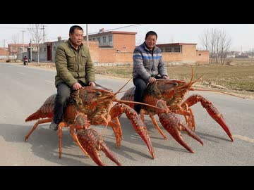 ホモと見るザリガニに支配された中国