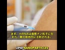 mRNAワクチンと心臓への影響について、衝撃的な研究結果が報告されています