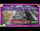 【 ゆっくり解説 心霊スポット 総集編 】絶対行くな！立ち入り禁止のオカルトゾーン