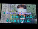 カラオケ「青い山脈」藤山一郎・奈良光枝（1963）