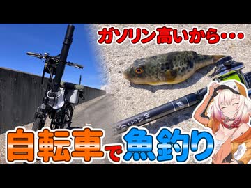 ガソリンが値上がりしたので自転車で魚釣りに行く【ONEのいきぬきVlog】