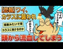 【2ch面白スレ】ワイ、カラスに襲われ頭から流血してしまう【ゆっくり解説】
