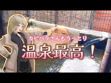 【ソフトウェアトーク旅行】カピバラさんもうっとり 温泉最高！【春日部つむぎ】