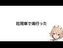 社用車で海行った【手抜き車載祭】
