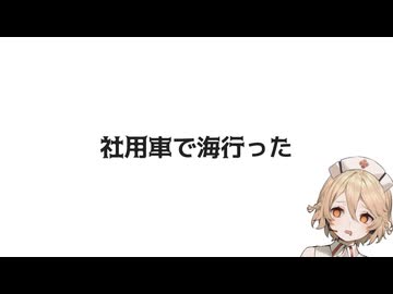 社用車で海行った【手抜き車載祭】