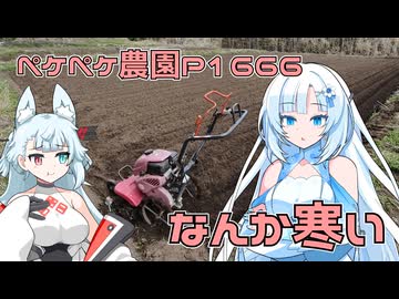 2026年3月16日　農作業日誌P1666　前日に引き続き耕し作業を進めて種を蒔けるようにしていくよ