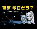 【手抜き車載祭】てやんDay 東京 ドライヴィン