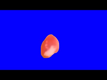 変態マゾチュウマグロ寿司BB