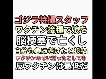 ゴジラ木村カエラなどの元スタッフ　愛娘を脳出血で亡くし自身もターボ老化　娘の死因がワクチンだとしても反ワクチンのやつらの決めつけは許せない