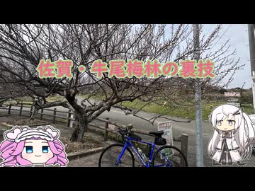 水色スライムのまったりポタリング　牛尾梅林の裏技.mp34