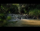 river