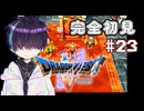 生まれて初めて通るドラクエ【DQ5】#23