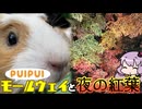 PUIPUI帰宅ラッシュ！長瀞にモールウェイと夜の紅葉を見に行こう【VOICEROID旅行】